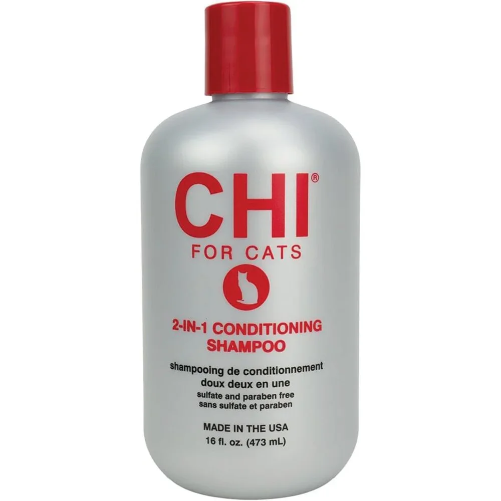 CHI you will